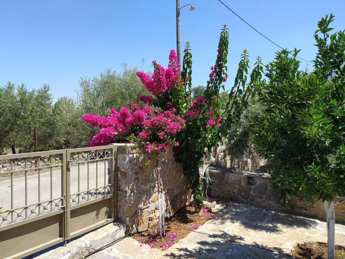 "Villa Kastania" Melidoni, Chania, Crete Zewnętrze zdjęcie