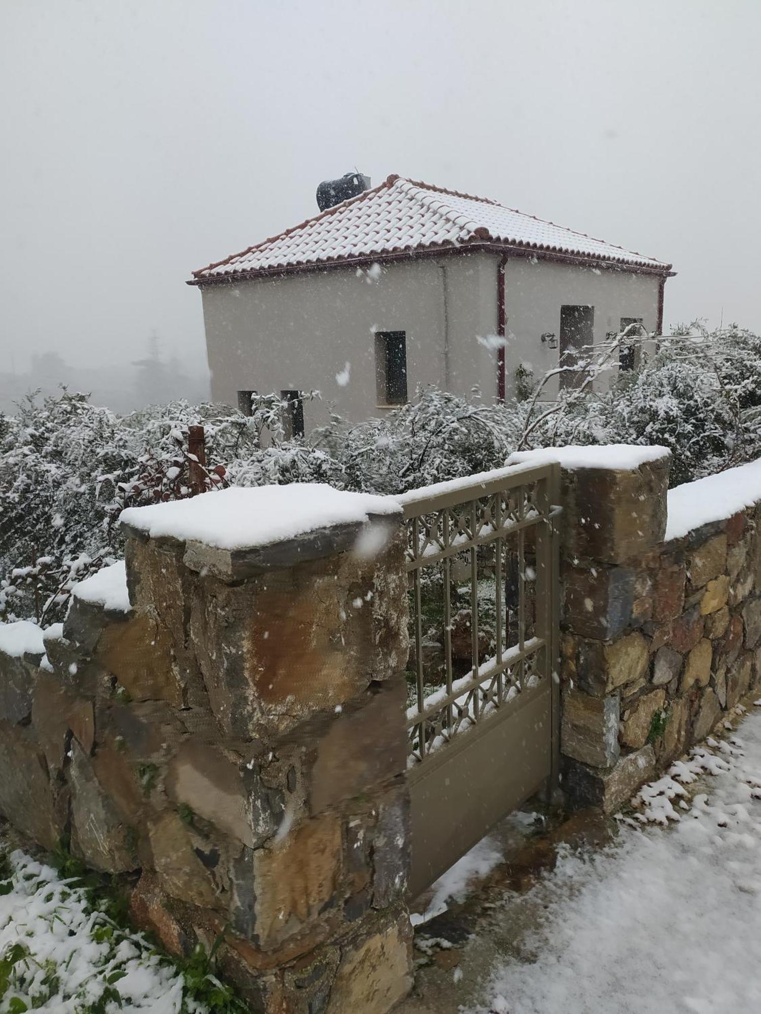 "Villa Kastania" Melidoni, Chania, Crete Zewnętrze zdjęcie