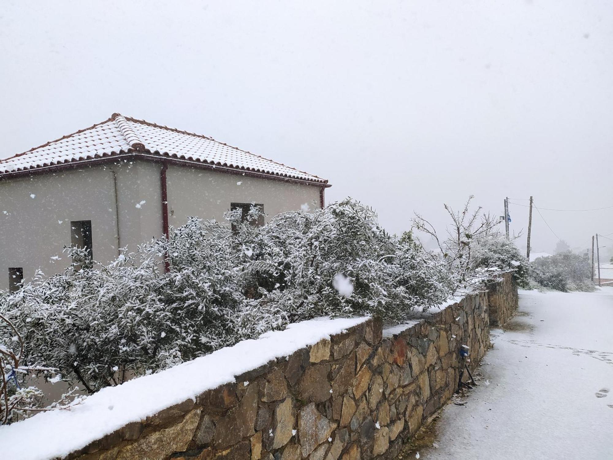 "Villa Kastania" Melidoni, Chania, Crete Zewnętrze zdjęcie